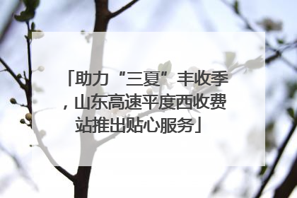 助力“三夏”丰收季，山东高速平度西收费站推出贴心服务